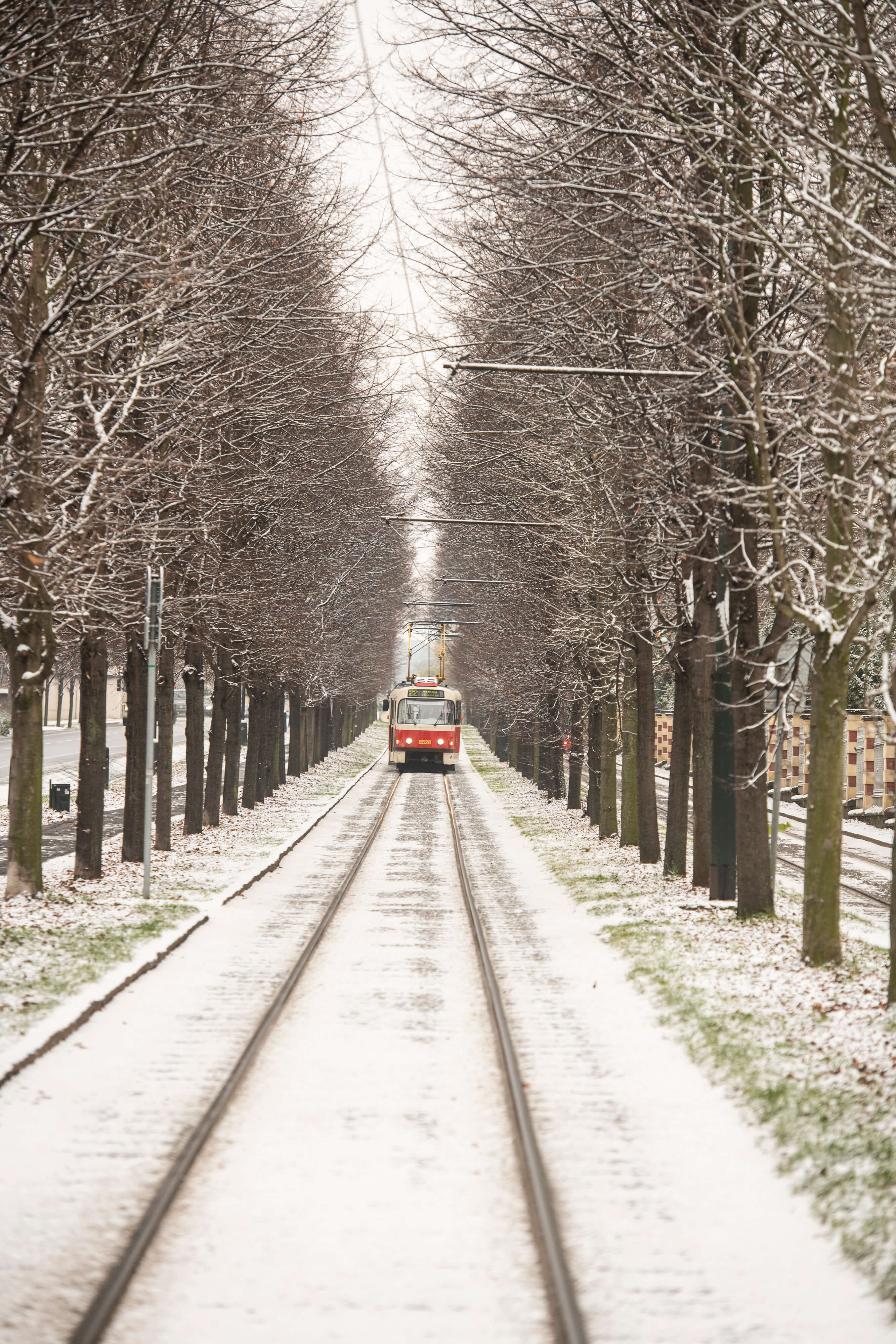 Obrázek /media/wzgphnvi/tramvaj_14_full.jpg