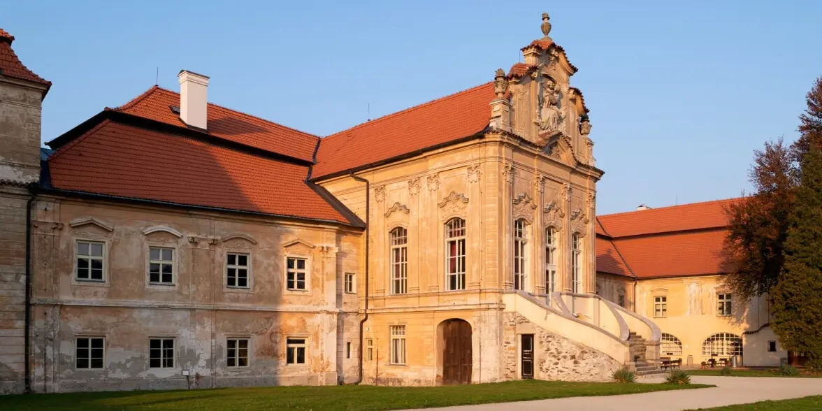Image klaster_zeliv-1.jpg