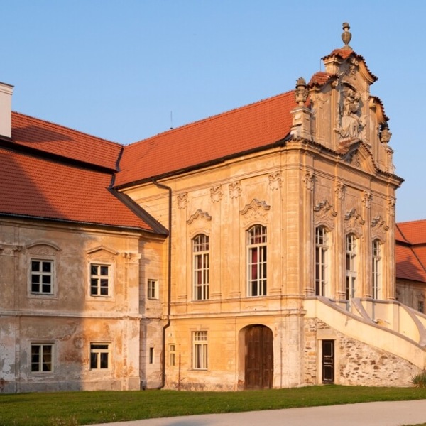 Image /media/xurig4wf/klaster_zeliv-1.jpg