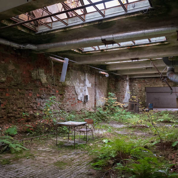 Obrázek /media/ywldgsl0/_dsc3521.jpg