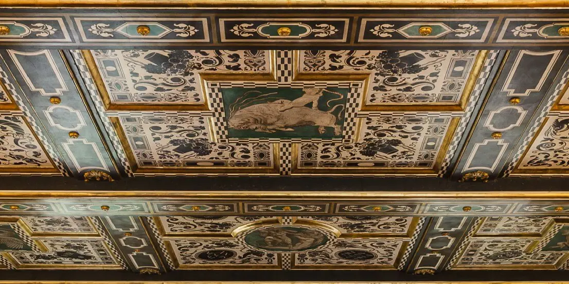 Image liberec_liebiegova_vila_-_sal_baji_jirous_detail_strop.jpg