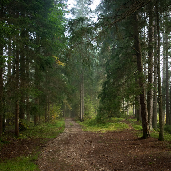 Obrázek /media/zk4c4ydy/_dsc9379.jpg