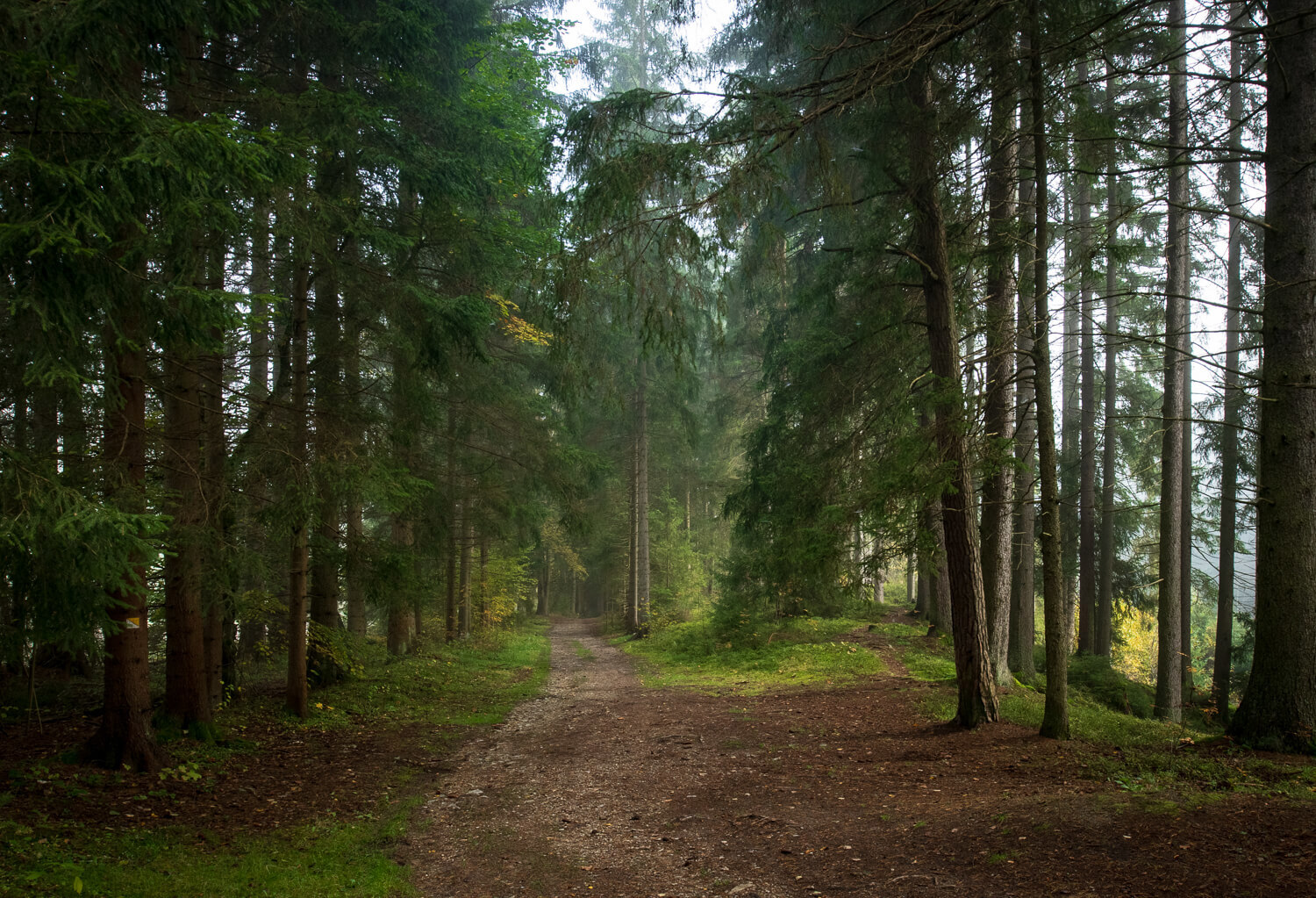 Obrázek /media/zk4c4ydy/_dsc9379.jpg